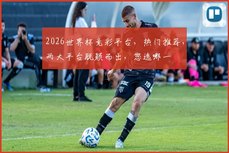 2026世界杯竞彩平台，热门推荐，两大平台脱颖而出，您选哪一