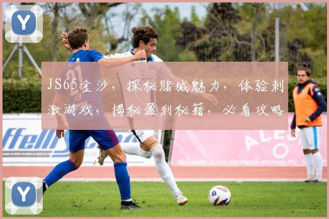 JS65金沙，探秘赌城魅力，体验刺激游戏，揭秘盈利秘籍，必看攻略，不容错过