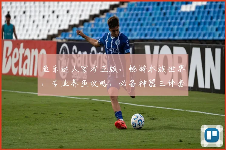 鱼乐达人官方正版，畅游水族世界，专业养鱼攻略，必备神器三件套，轻松打造家居水景